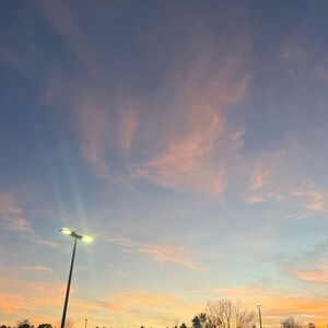 Meet your Posher, Catalina